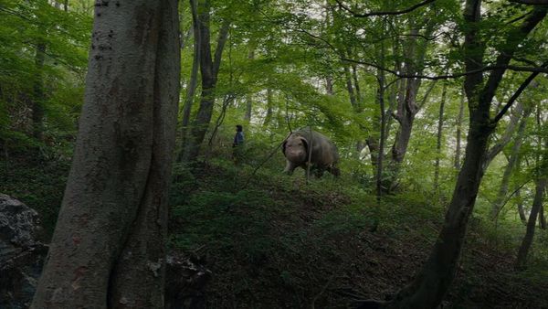 La biblioteca de Downey presentará una función doble gratuita el 30 de abril.