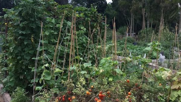 Santa Fe Springs gardeners rally against closure ahead of tonight’s council meeting