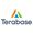 Terabase Development Platform