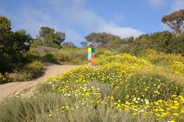 Amber Vittoria Questions Reality in Recent OE Drop