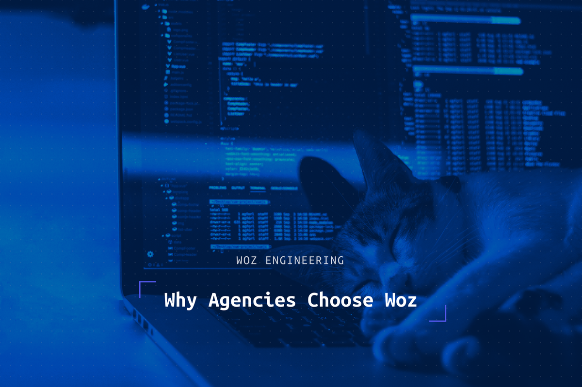Why Agencies Choose Woz
