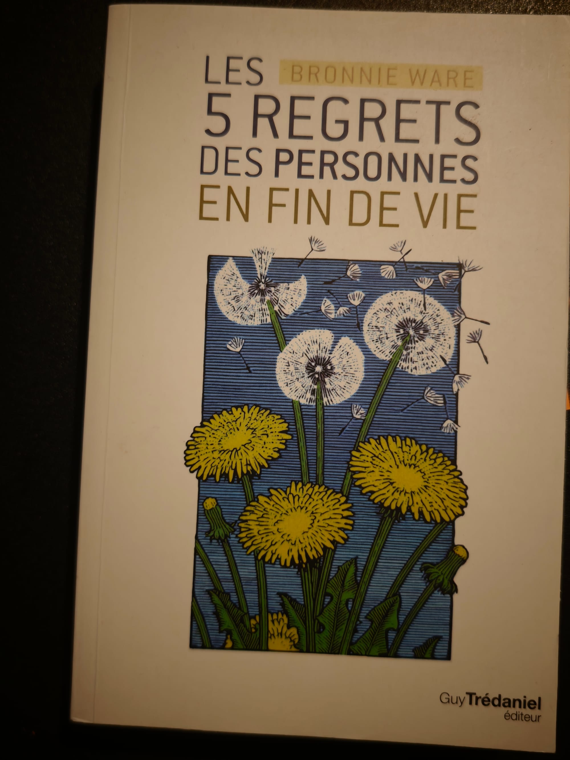 Les 5 Regrets des personnes en fin de vie
