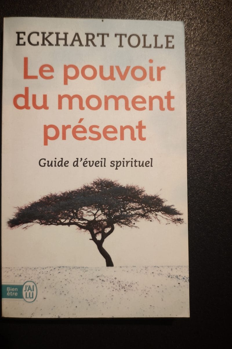 Le Pouvoir du Moment Présent