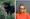 Jasonville Woman Charged After Unvaccinated Dog Bites Deputy (FULL STORY)