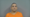 Felony Dependent Neglect Warrant Highlights Recent Booking Activity