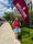 Introducing Linton News Intern: Leah McKee