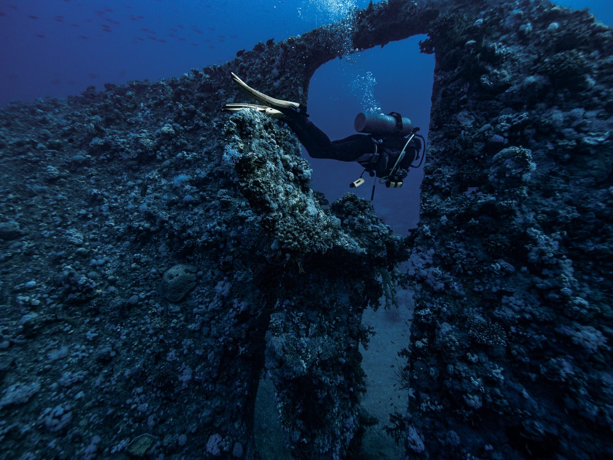 Wreck diving in the Red Sea