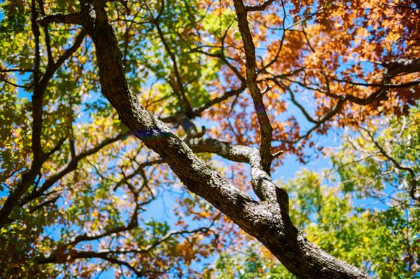 Learning film photography