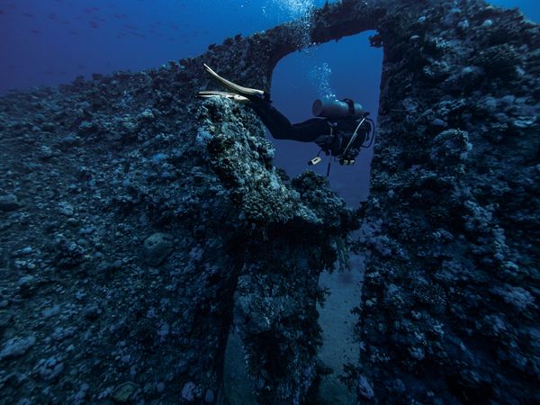 Wreck diving in the Red Sea