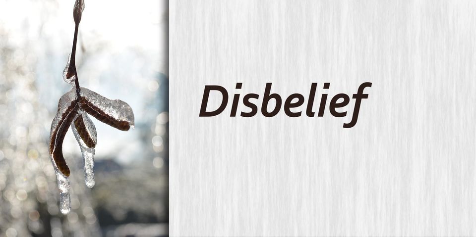 Disbelief