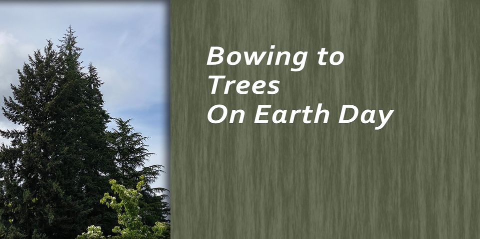 Bowing to Trees on Earth Day