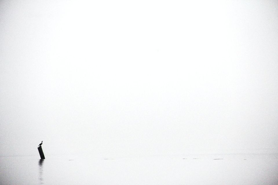 Talend - the Next Cloud Success Story?