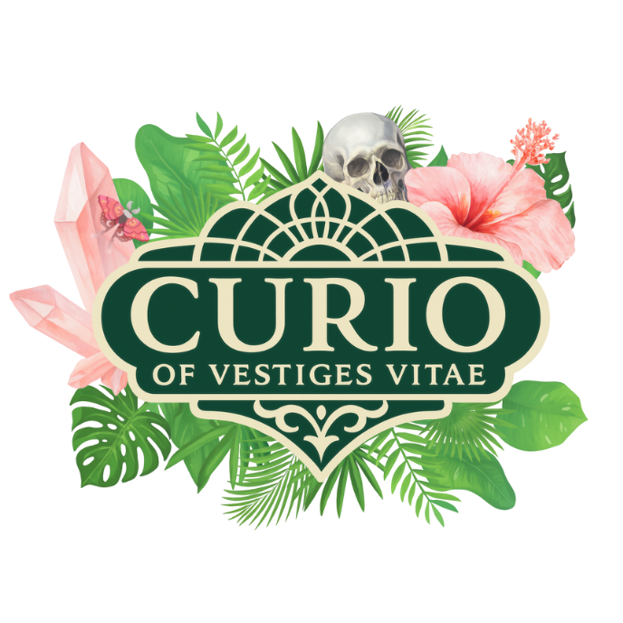 Curio of Vestiges Vitae