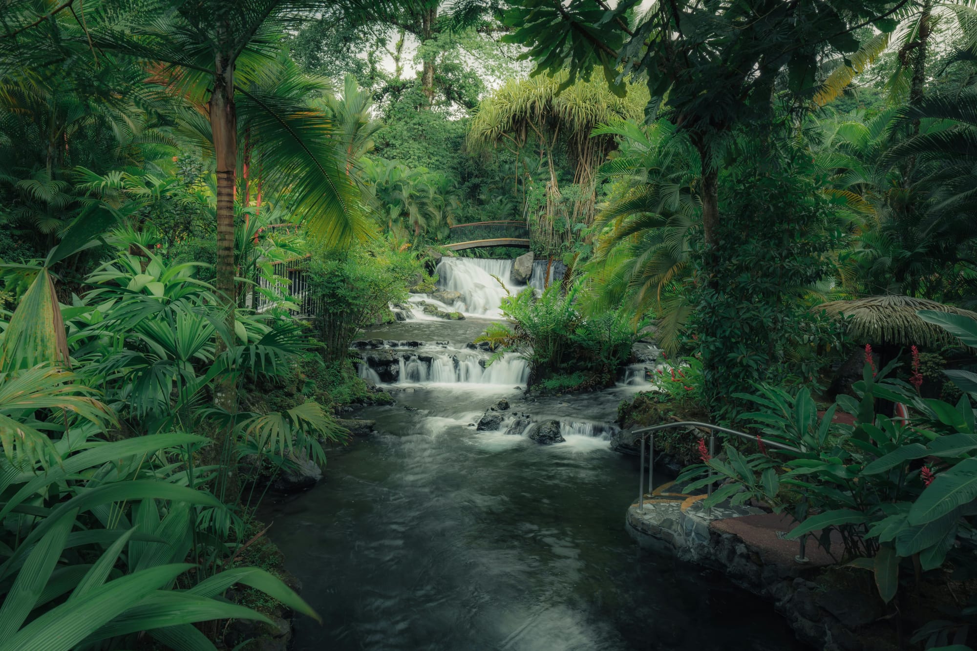 Curio of Vestiges Vitae