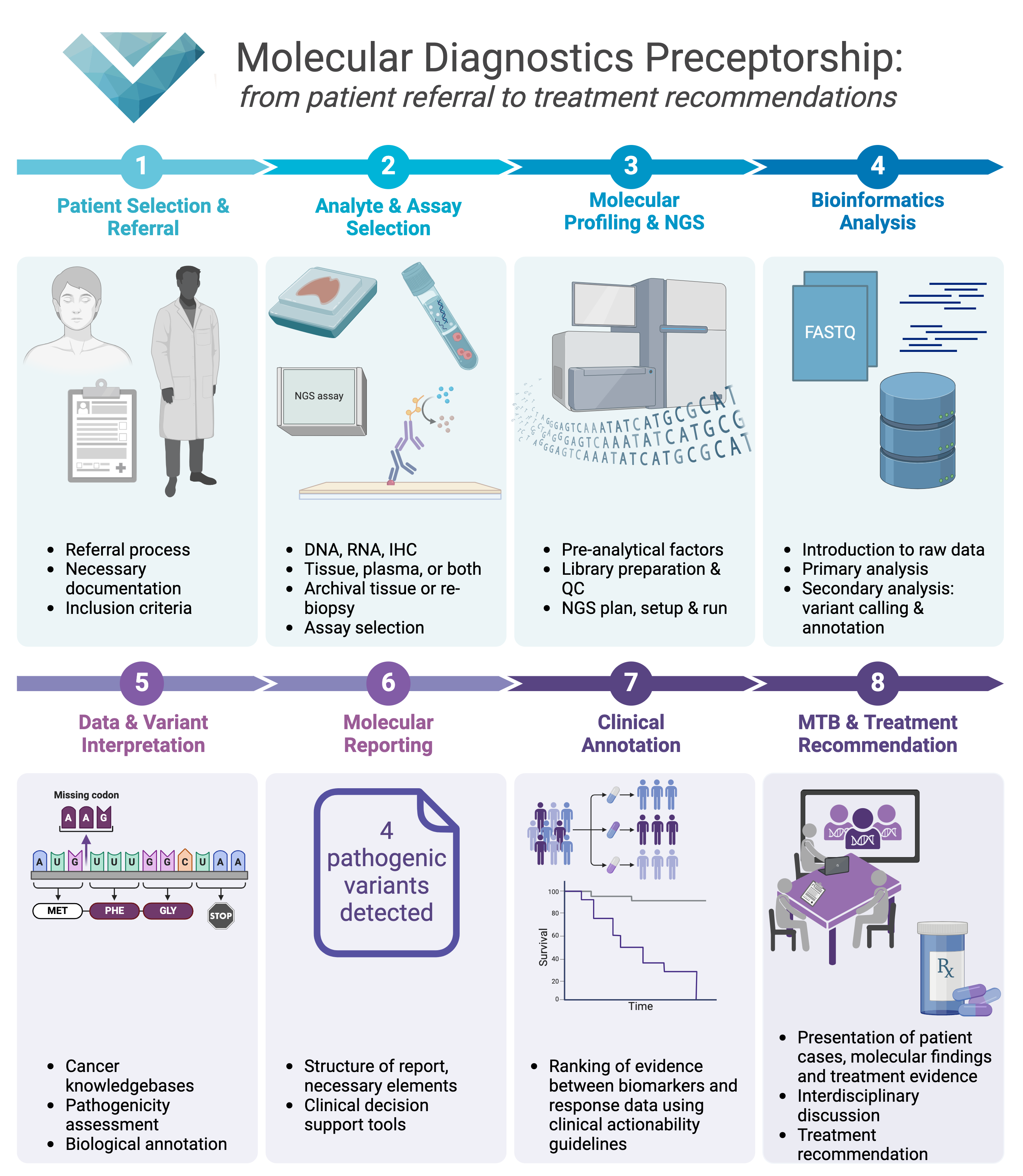Vessel Molecular Diagnostics Preceptorship End to End Workflow