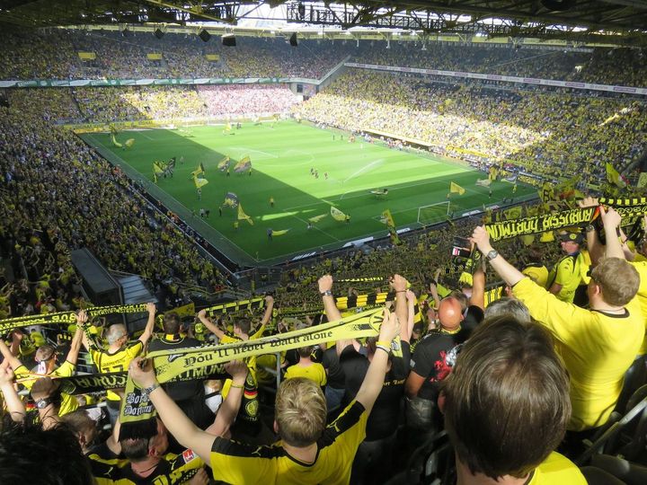 Fan-Driven Impact: Co-Creating Purposeful Initiatives