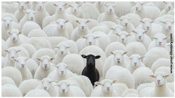 Courage - Difference - what do you see - 你看見甚麼？- 勇敢 - 恐懼