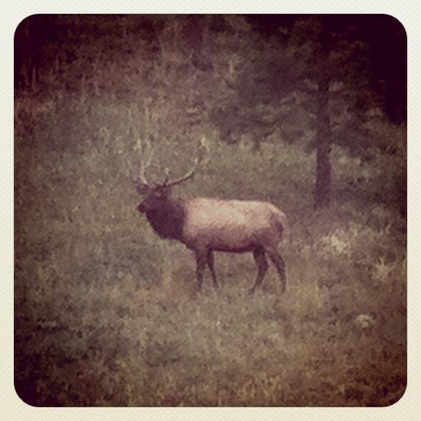 September debriefing