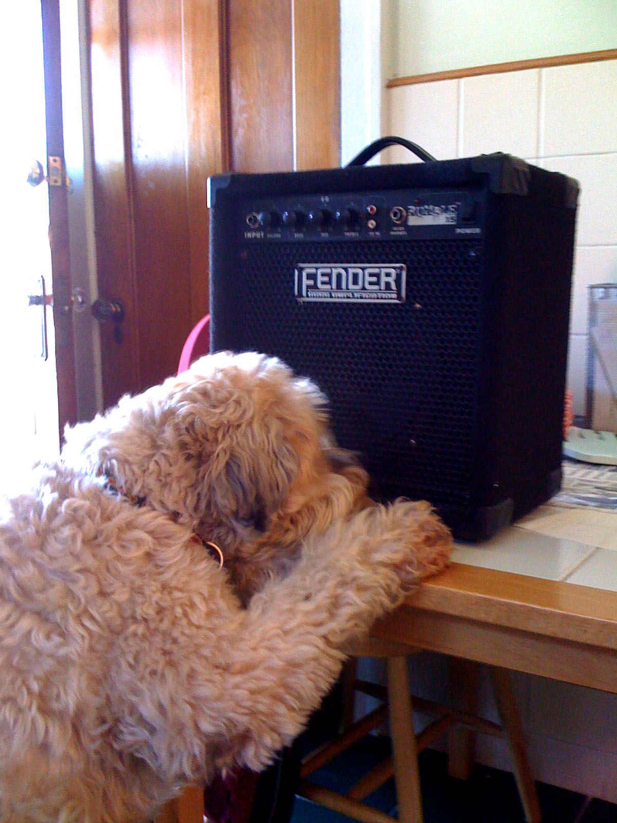 Reminder: Tuesday Funk #28 is tonight!