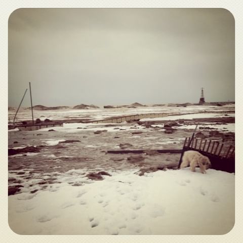 Reminder: Despite the blizzard, Tuesday Funk #31 is tonight!