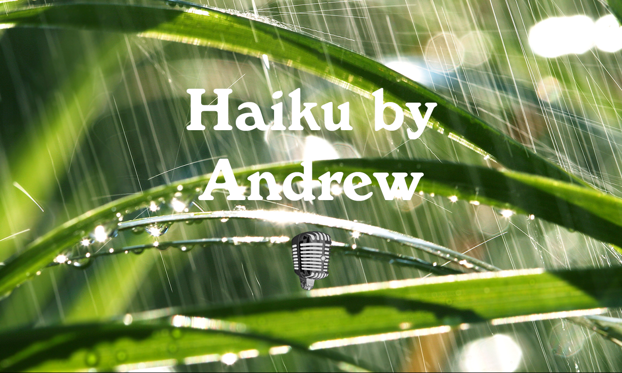 Haiku by Andrew