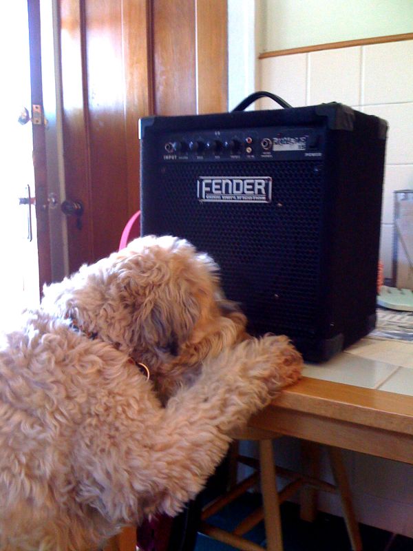 Reminder: Tuesday Funk #28 is tonight!