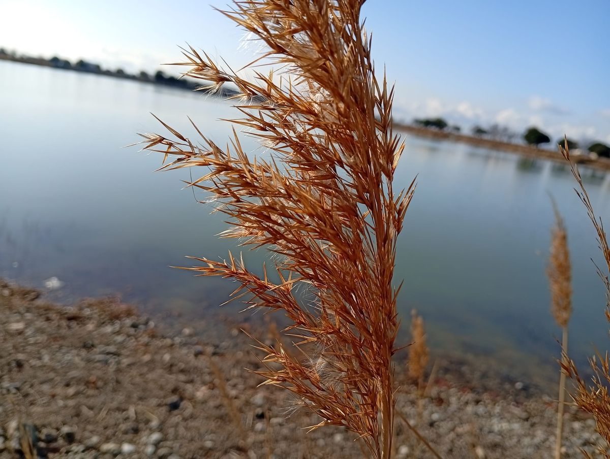 欠けた月