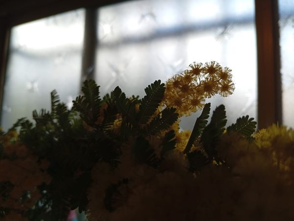 in morning