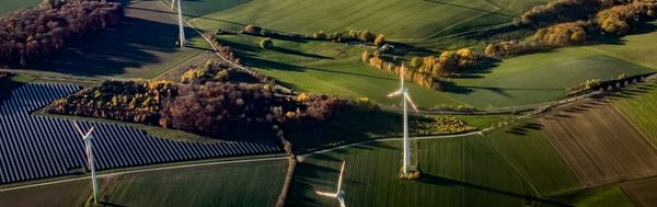 Decarbonize the Grid
