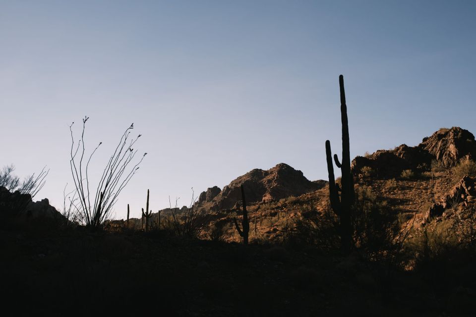 A foray into the wilderness of filmmaking...