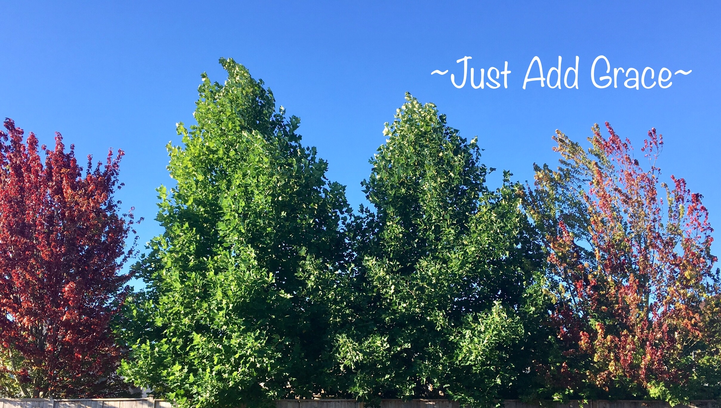 C2876284-BCF7-48A3-81BB-5688D688EBB6