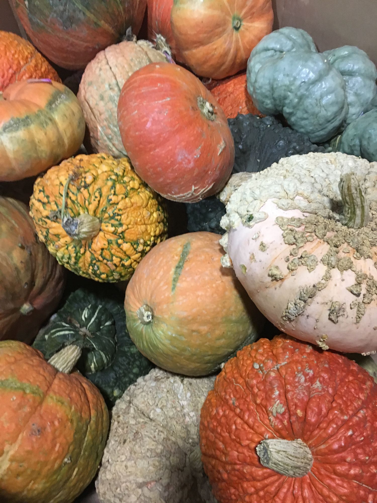 Finding Life in the midst of Crazy!