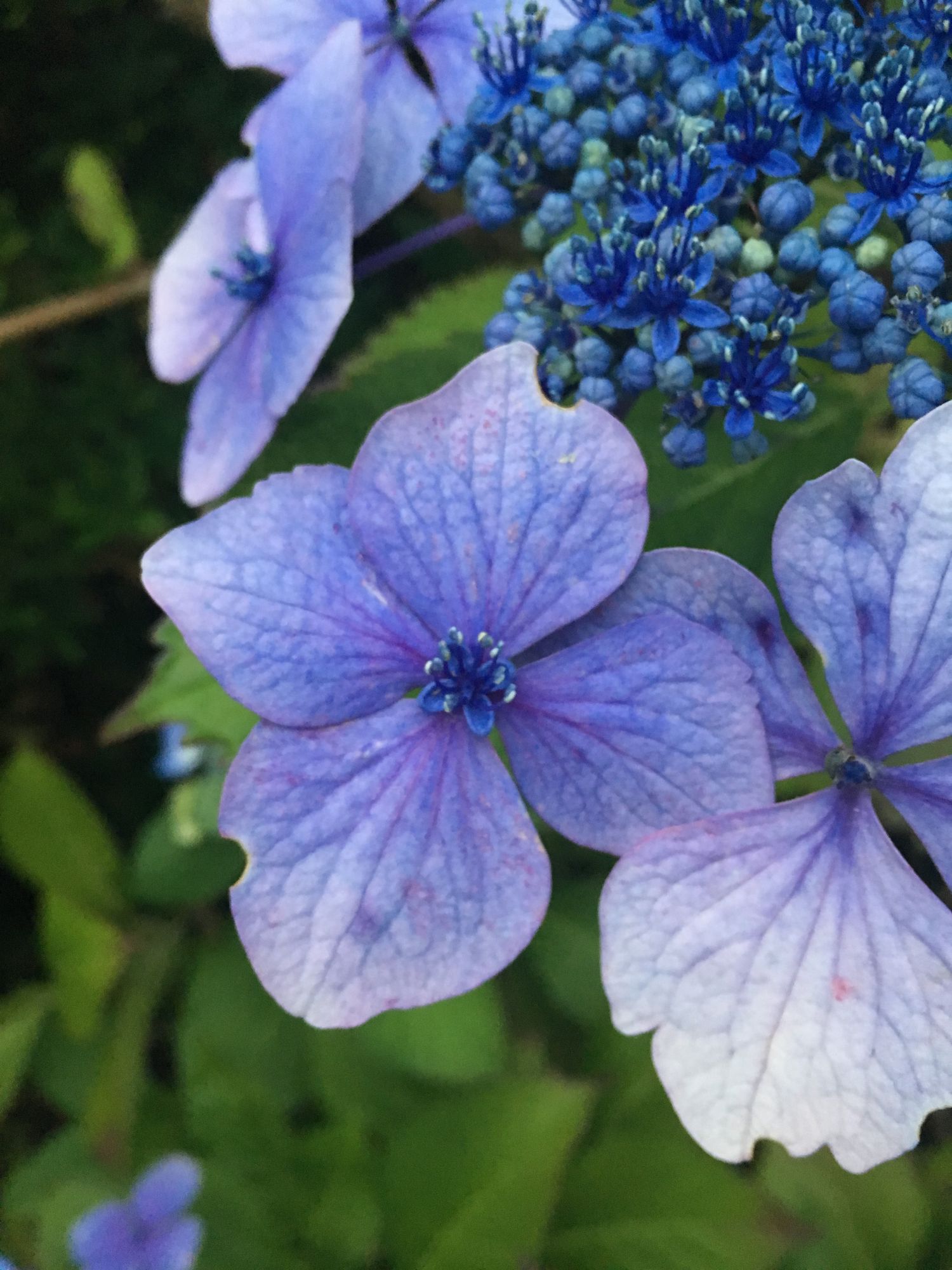 Cleaning Up and Cleansing Out