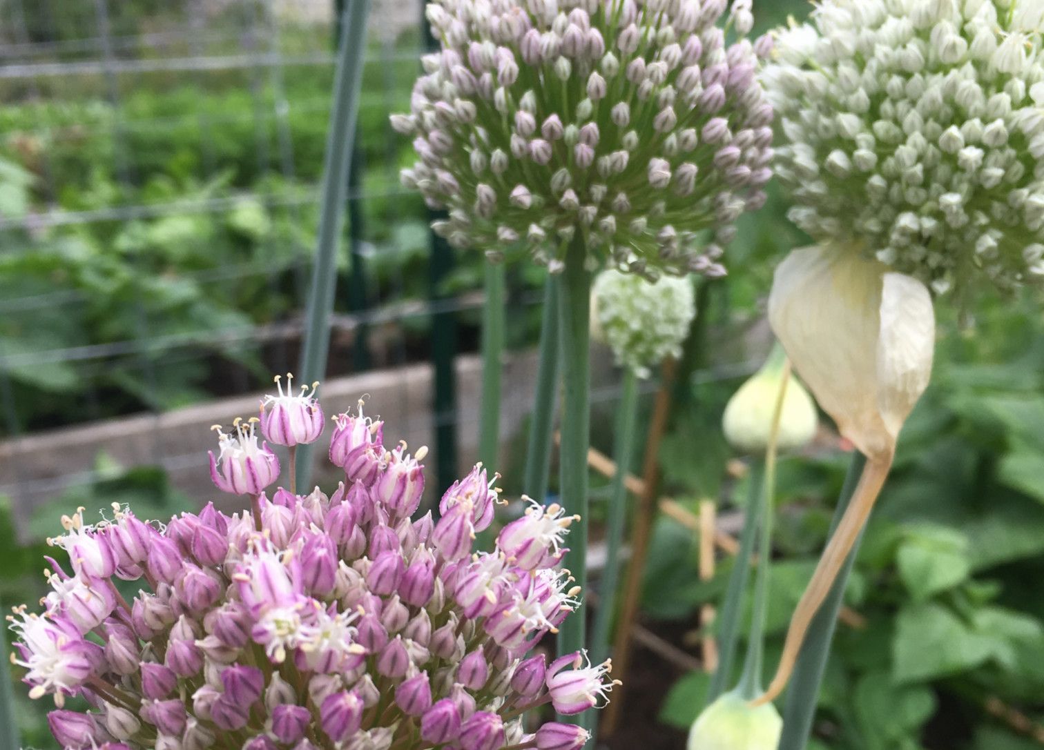 Minimalism-It's not what you think!!