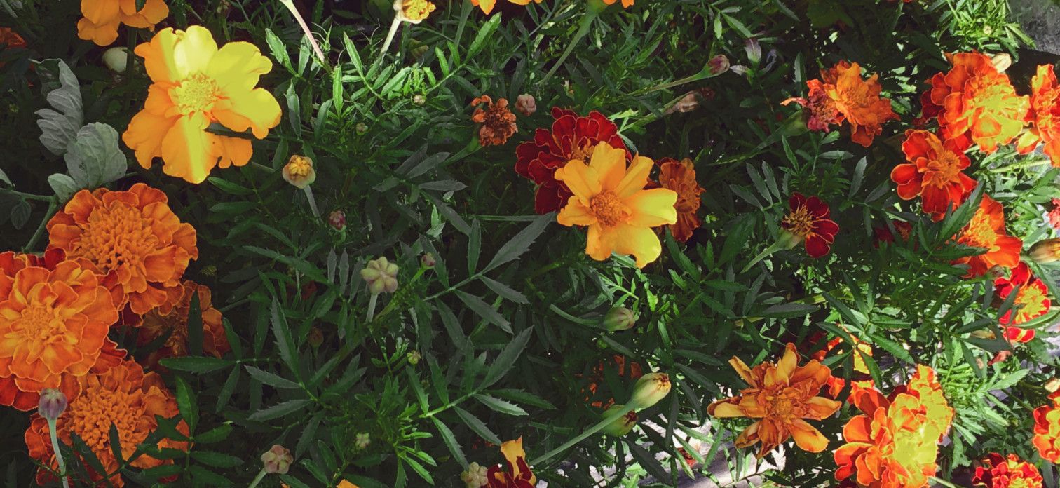 How Our Home is Handling It's Less