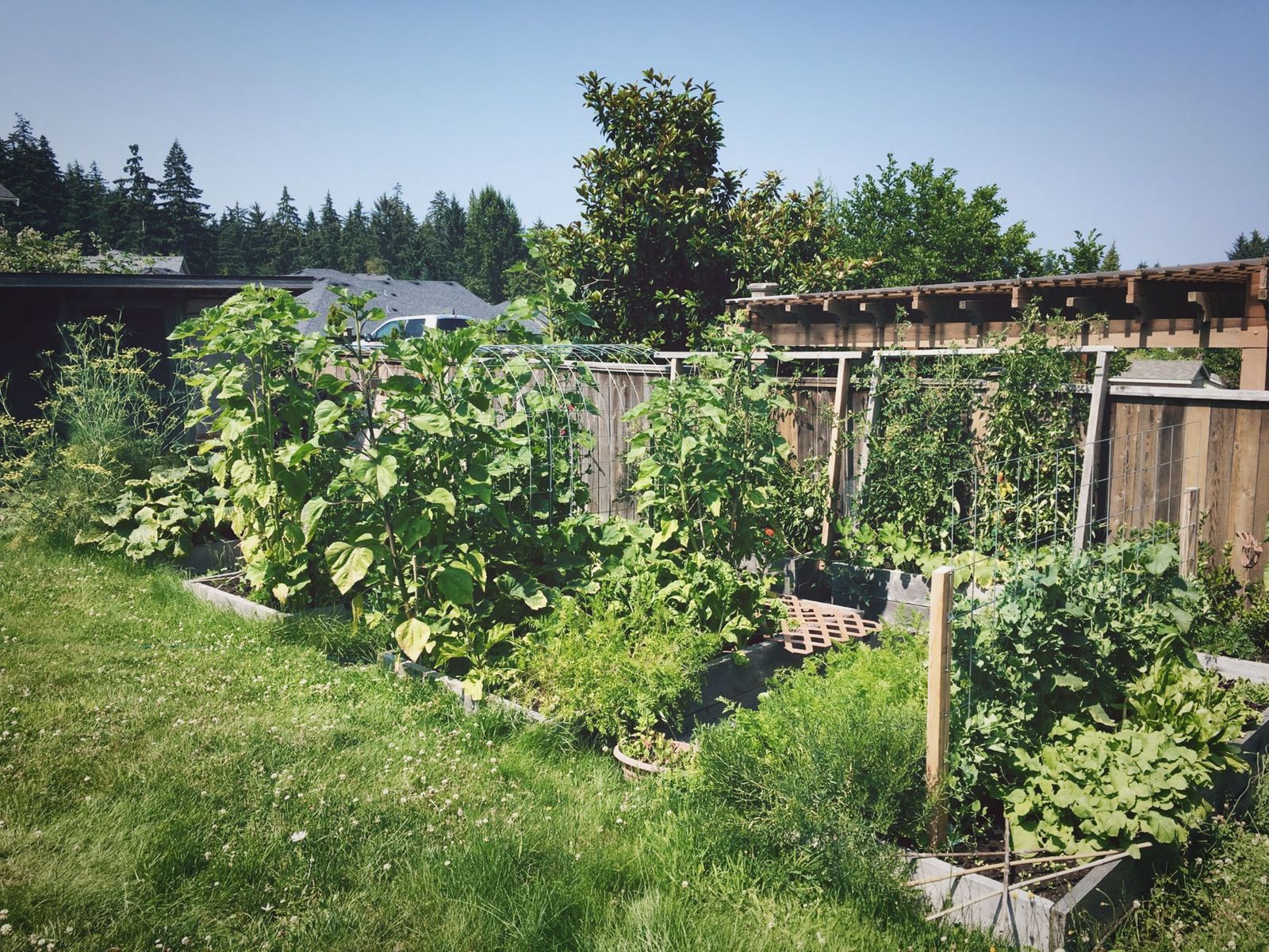 Switch it Up - Earth Friendly Living