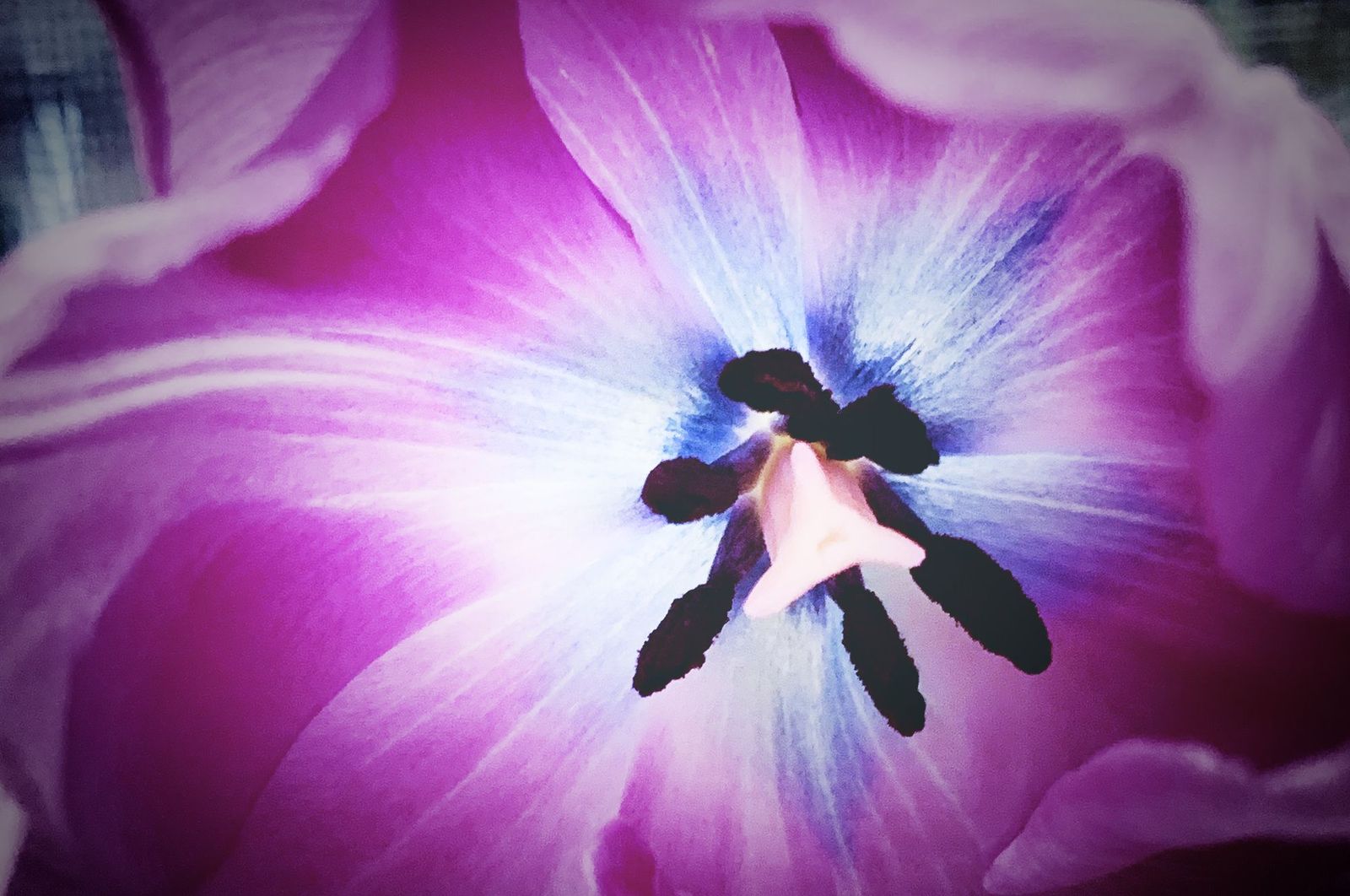 Gifts Made with Local Love for Mom