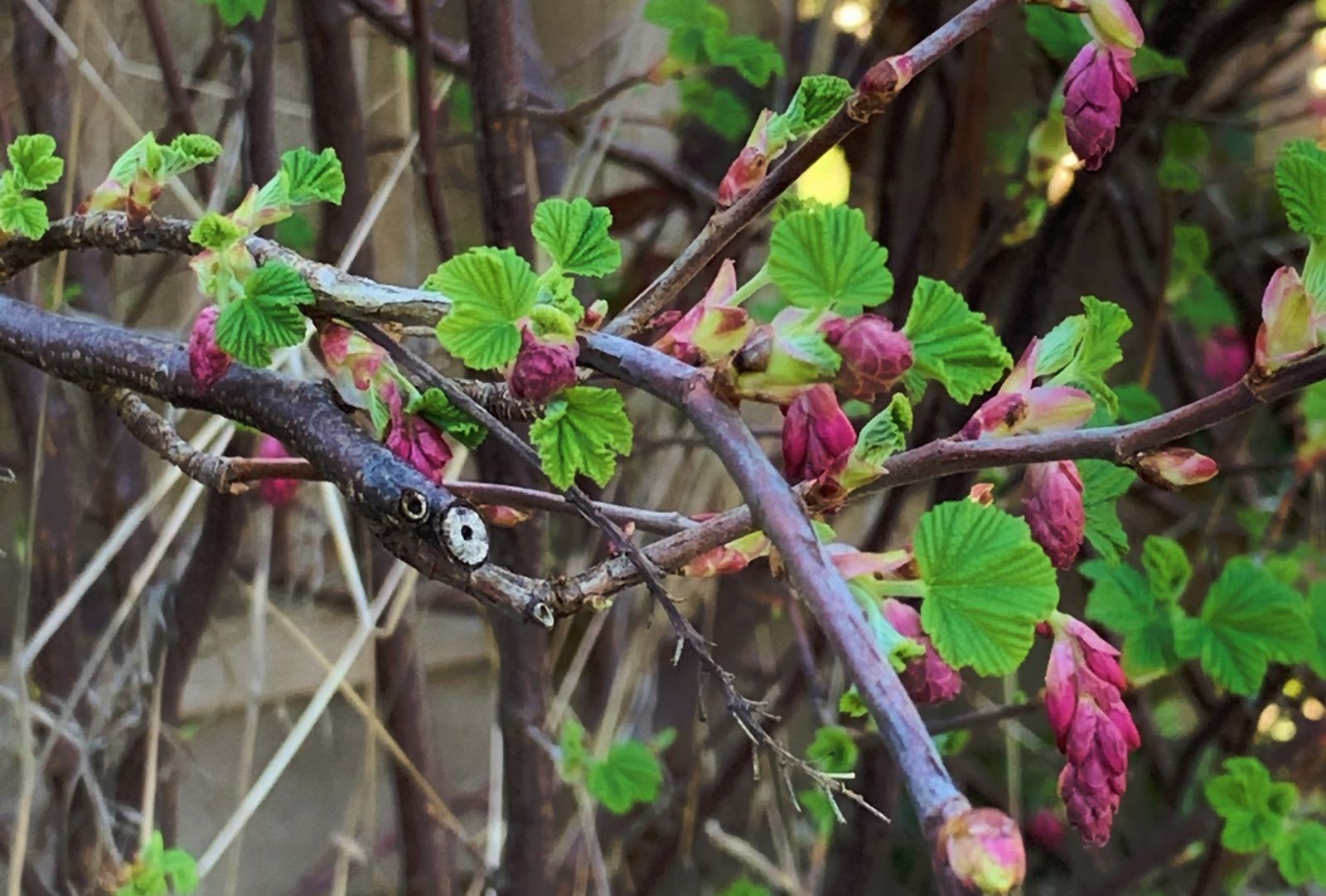 A Life with "What-If" Syndrome