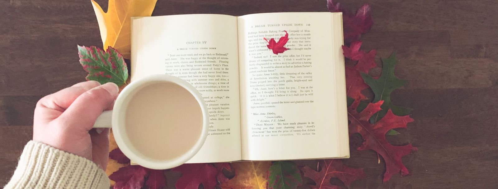 Fantastic Fall Faves-2019