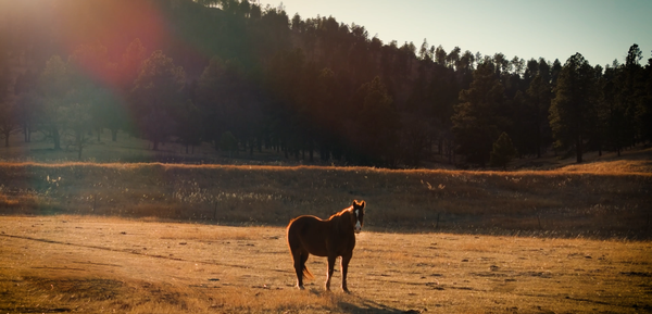 Nature is Non Partisan.