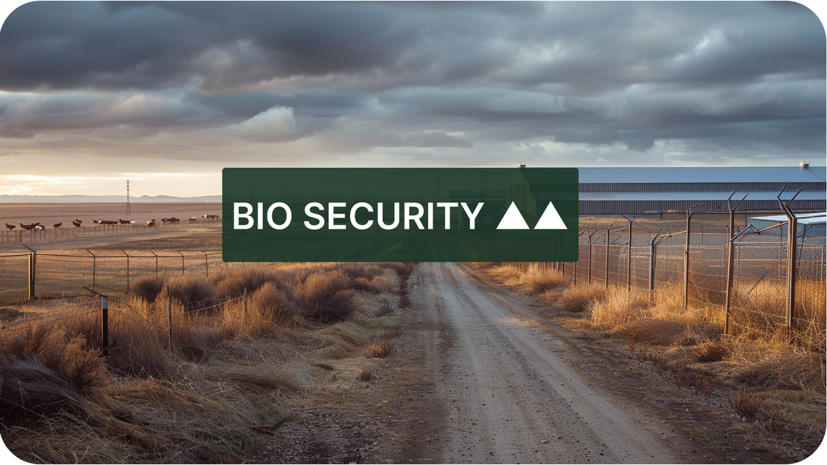 HPAI Persists Across US and European Poultry Sectors