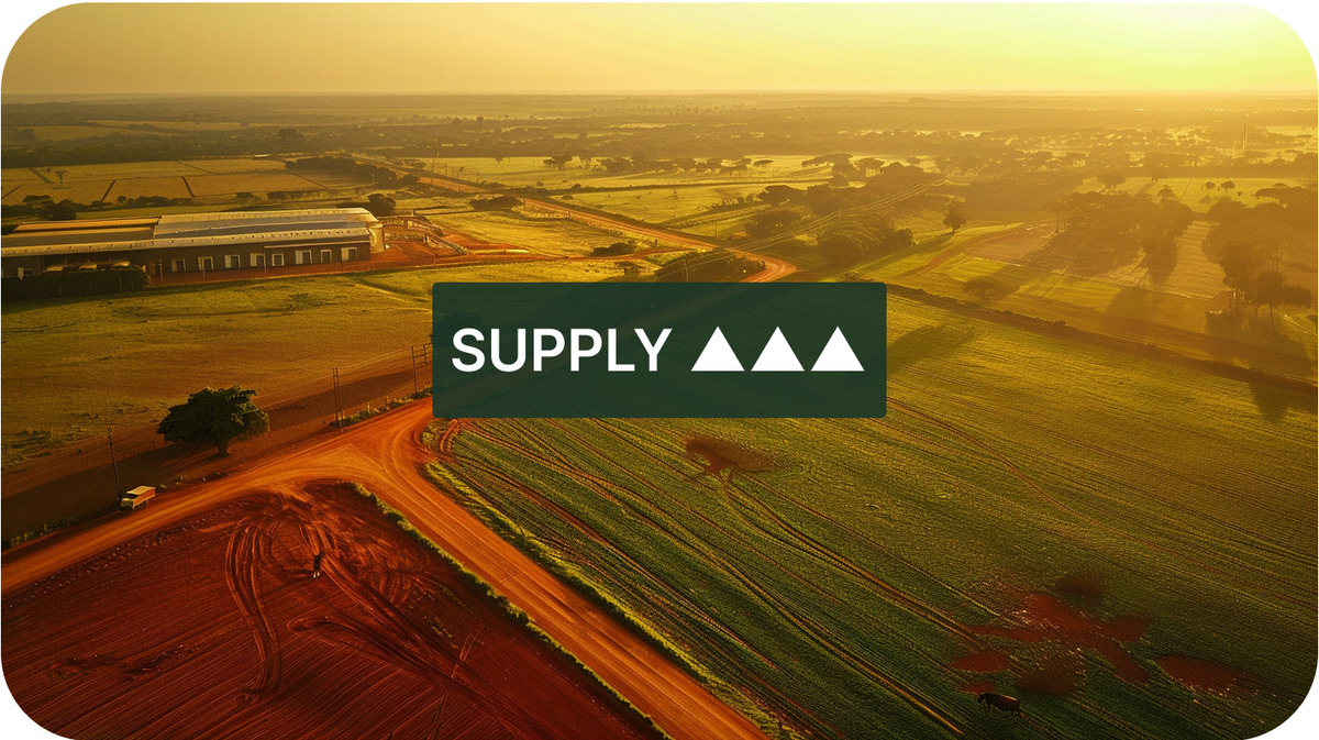 Brazil Consolidates Position as the World's Dominant Protein Exporter Across All Three Meats