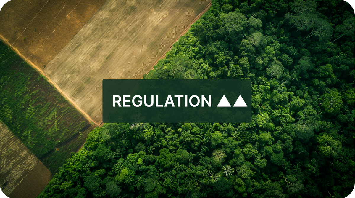 EU Deforestation Regulation Delayed and Weakened Again as April Compliance Review Approaches