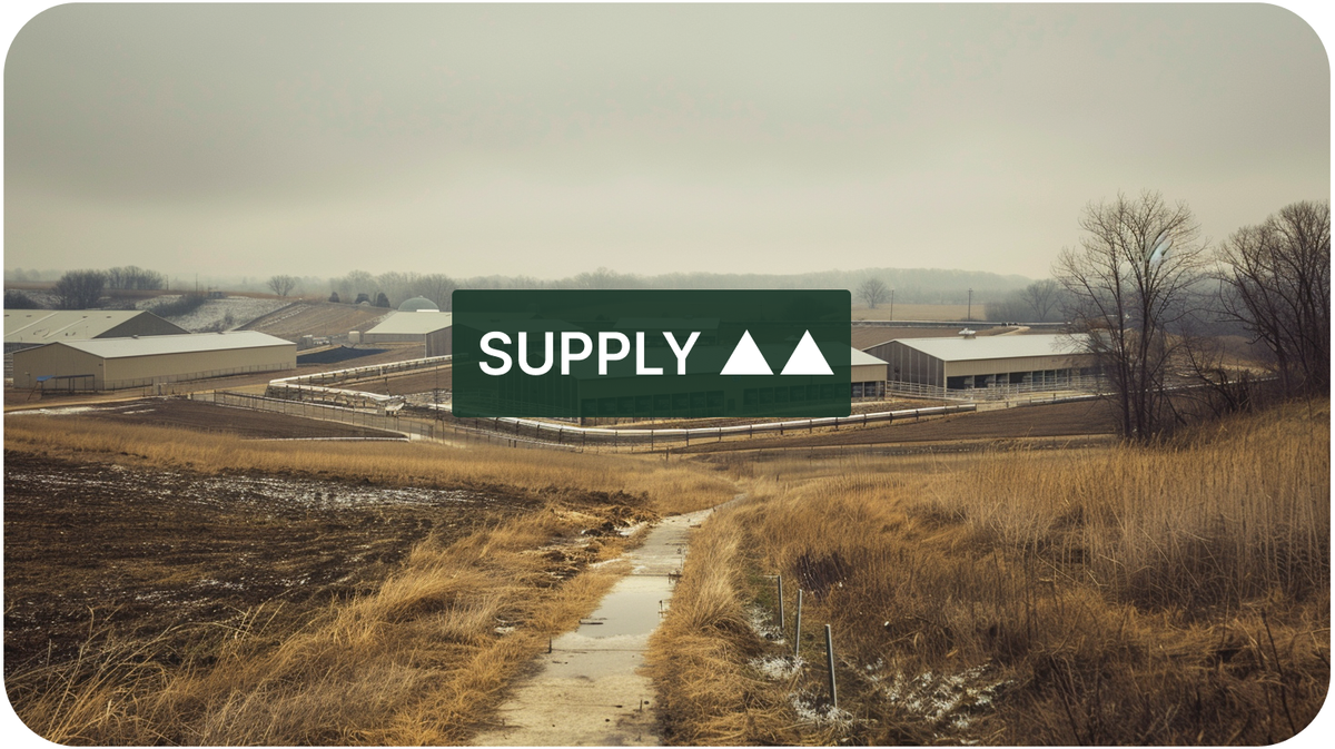 New HPAI Outbreak in Pennsylvania Threatens US Egg Market Recovery