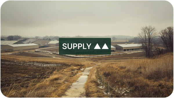 New HPAI Outbreak in Pennsylvania Threatens US Egg Market Recovery