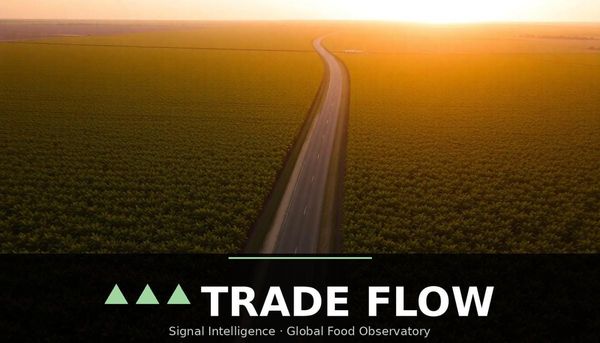 GFO Signal: Brazil Soybean