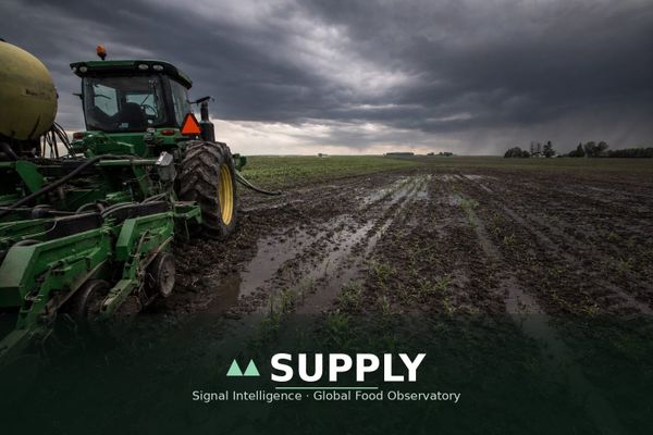 US corn planting 11 points behind as El Niño window arrives