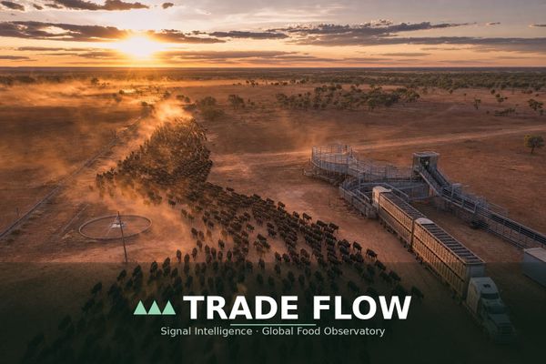 Australia hits 80% of China beef quota — 100,000 tonnes to redirect