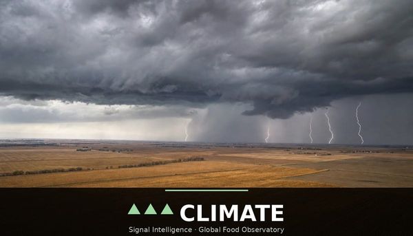 NOAA puts a 69% probability on an El Nino exceeding every event since 1950