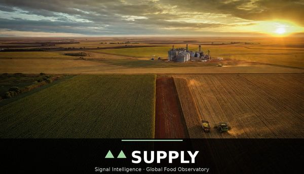 USDA's acreage revision turns a smaller US corn crop into the second largest on record